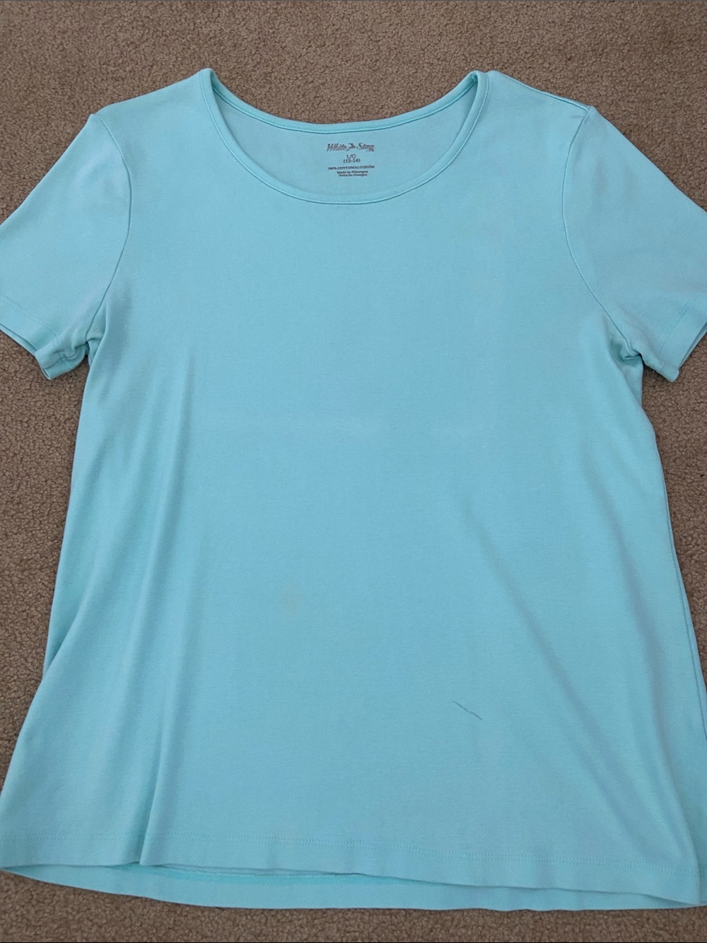 Solid Aqua Blue Short Sleeve Crewneck Top - Women